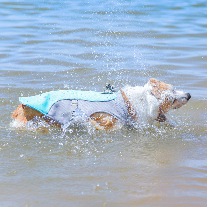 Sweet-Pets: Kühlweste