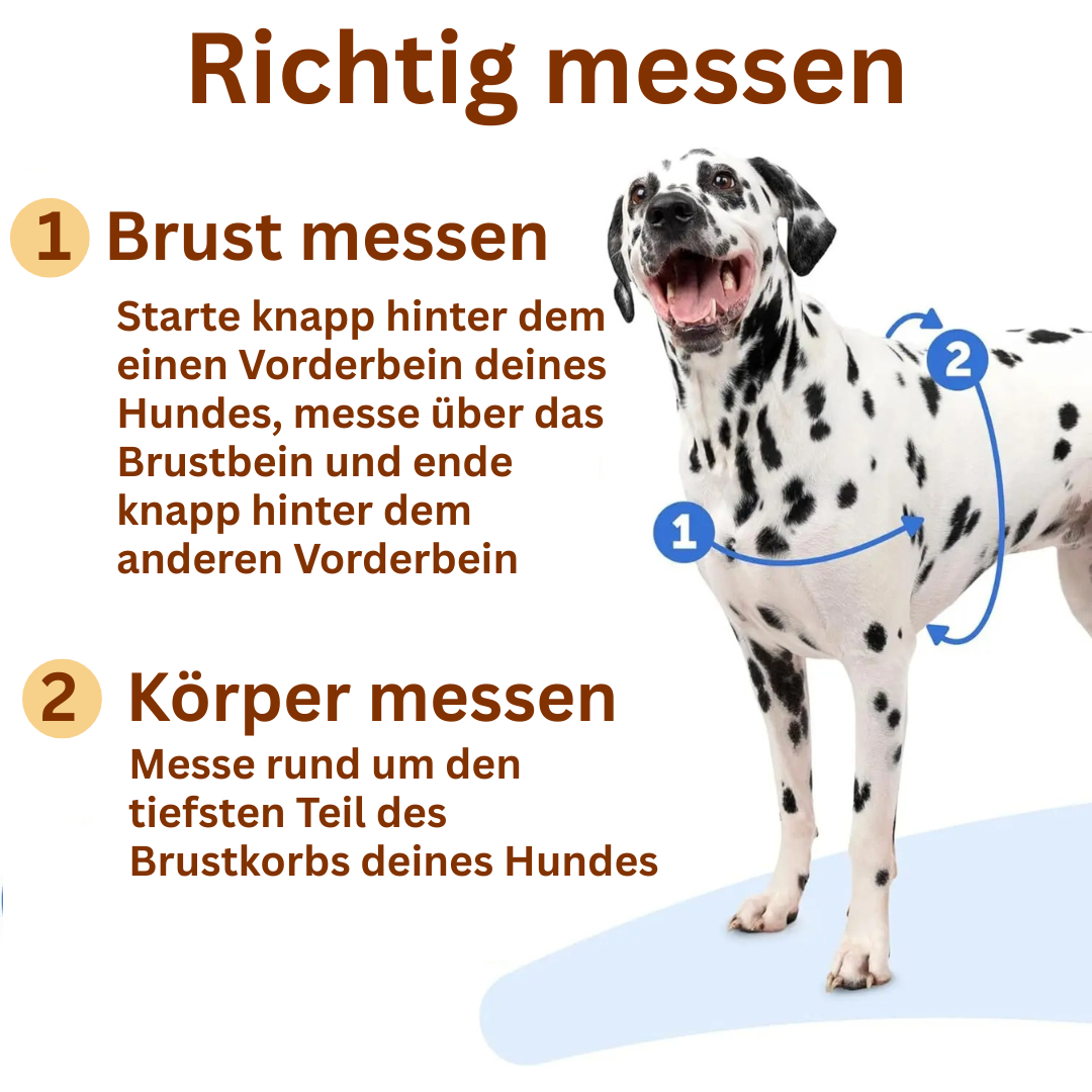 Sweet-Pets: Anti-Zug-Geschirr