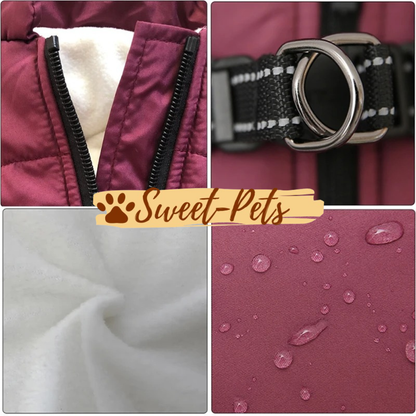 Sweet-Pets: Wasserabweisender Hundemantel