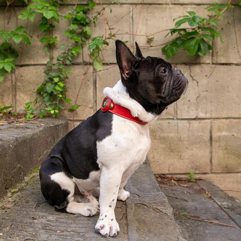 Sweet-Pets: AirTag Halsband
