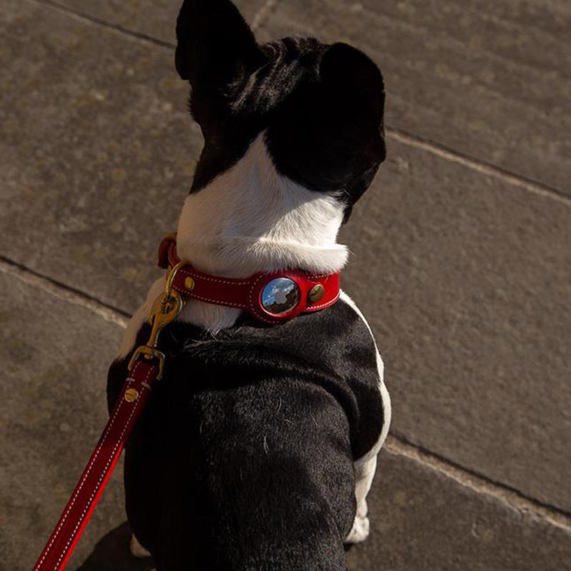 Sweet-Pets: AirTag Halsband
