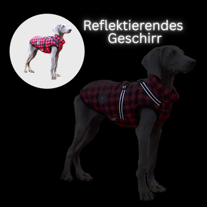 Sweet-Pets: Wasserabweisender Hundemantel