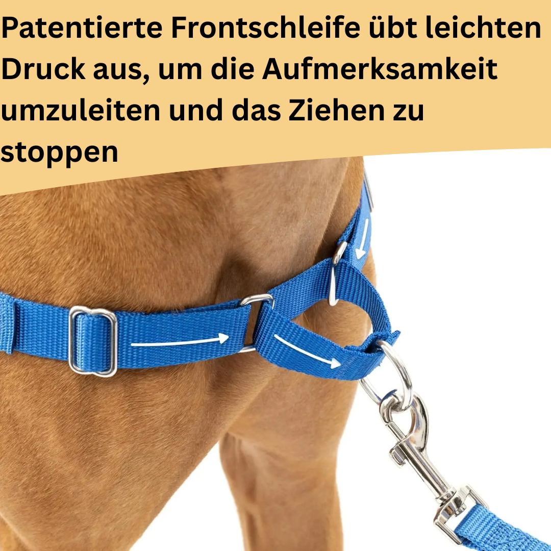 Sweet-Pets: Anti-Zug-Geschirr