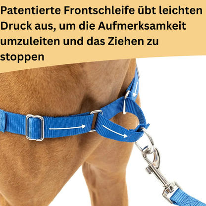 Sweet-Pets: Anti-Zug-Geschirr
