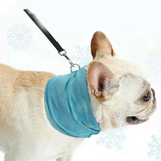 Sweet-Pets: Kühlhalstuch