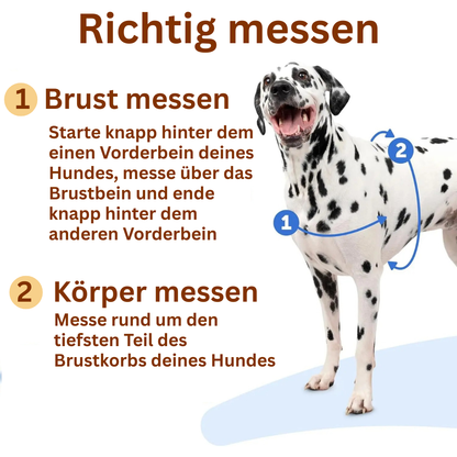 Sweet-Pets: Anti-Zug-Geschirr