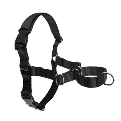 Sweet-Pets: Anti-Zug-Geschirr