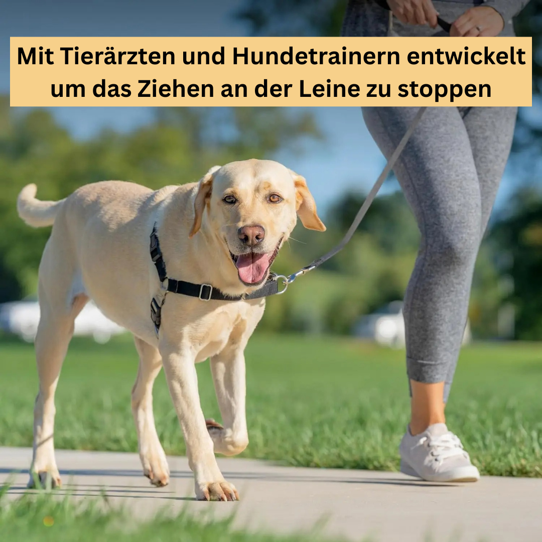 Sweet-Pets: Anti-Zug-Geschirr